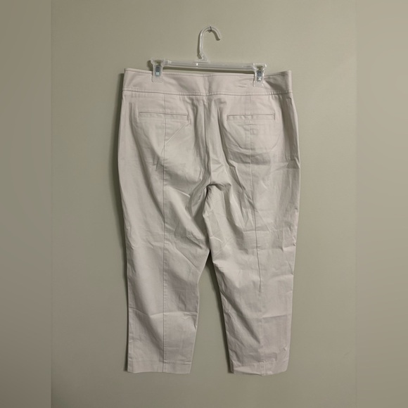 Talbots Curvy Fit Ankle Pants Size 12 New Tan Beige Classic Career Casual - Picture 2 of 8